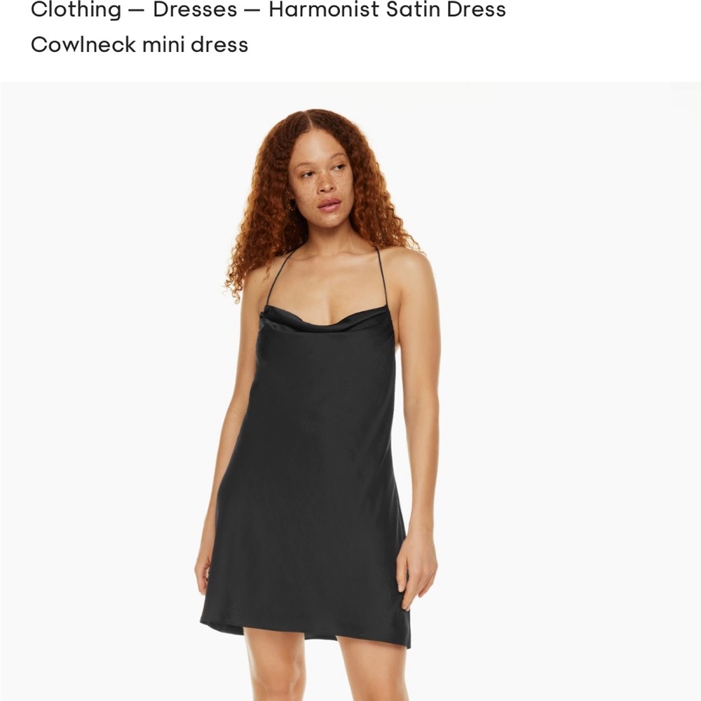 Aritzia Harmonist Satin Dress